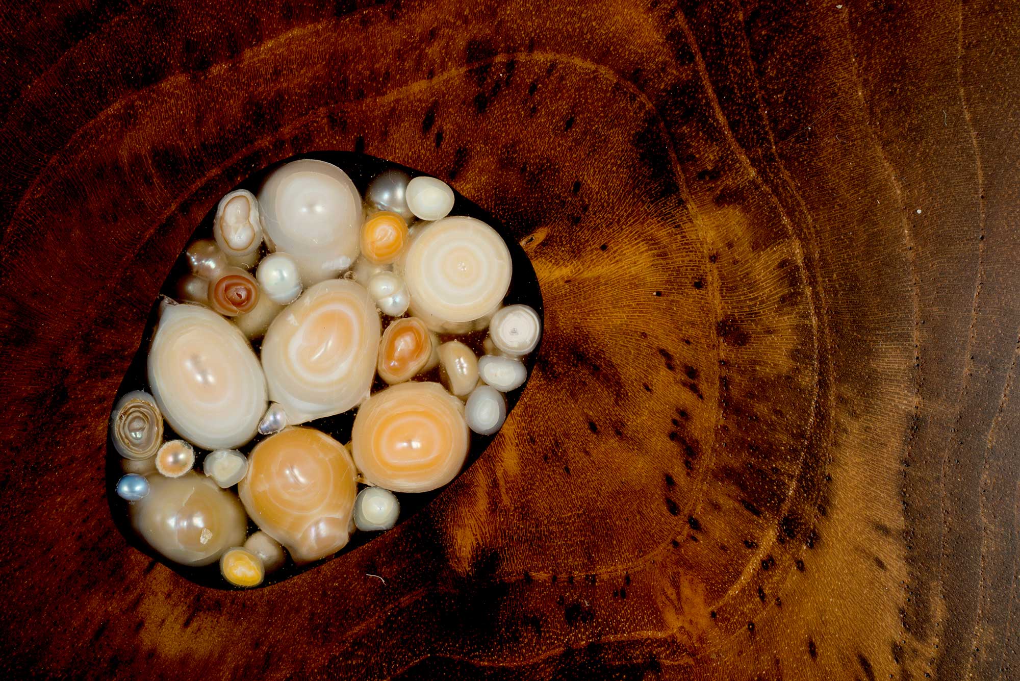 Steve Tobin Wood Collection, detail of inlaid pearls